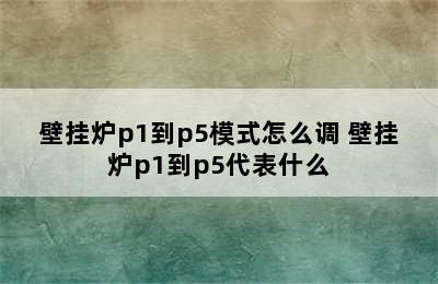 壁挂炉p1到p5模式怎么调 壁挂炉p1到p5代表什么